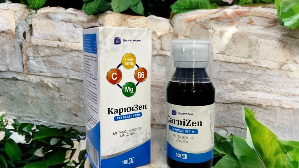 KarniZen