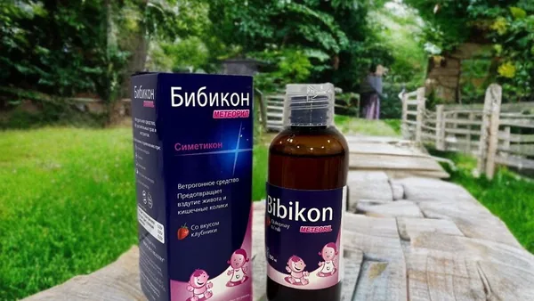 Bibikon